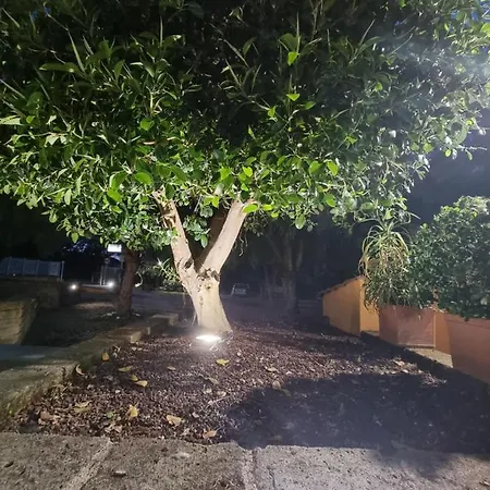 La Noce مونتيه سان بياجو
