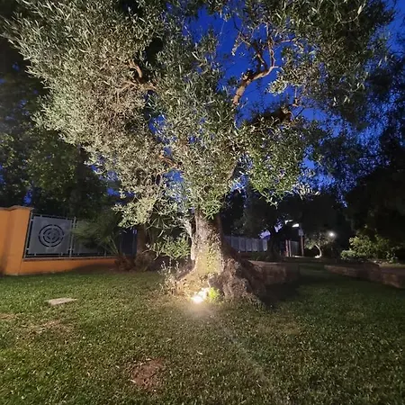 La Noce فندق مبيت وإفطار 4*