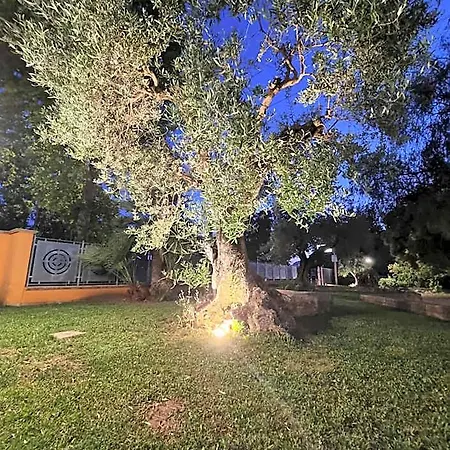Bed & Breakfast La Noce Monte San Biagio