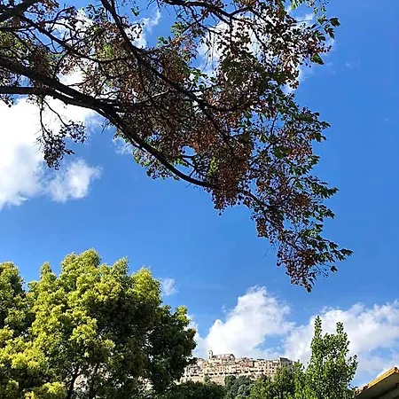 La Noce 4* Monte San Biagio