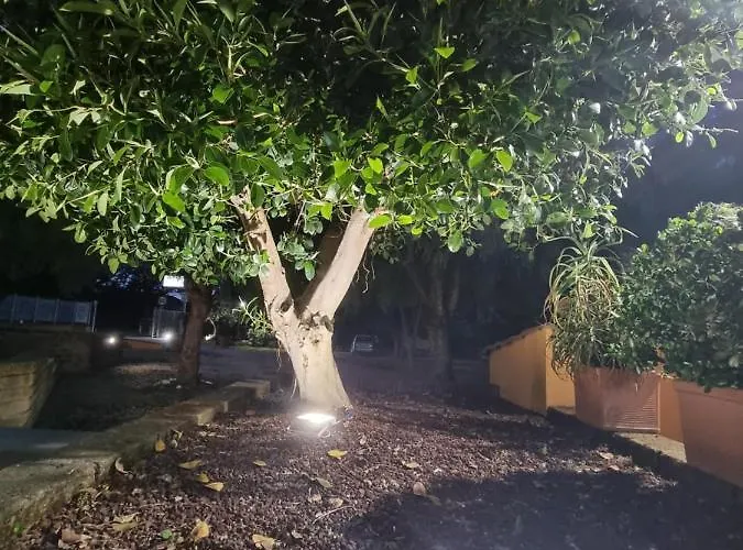 La Noce Monte San Biagio